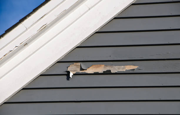 Best Shed Removal  in Marsing, ID